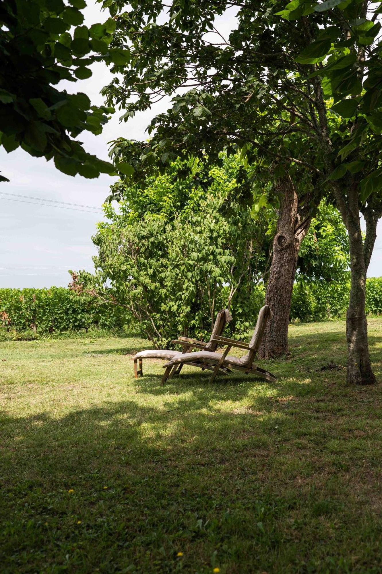 Clos De La Barbanne Монтань Экстерьер фото